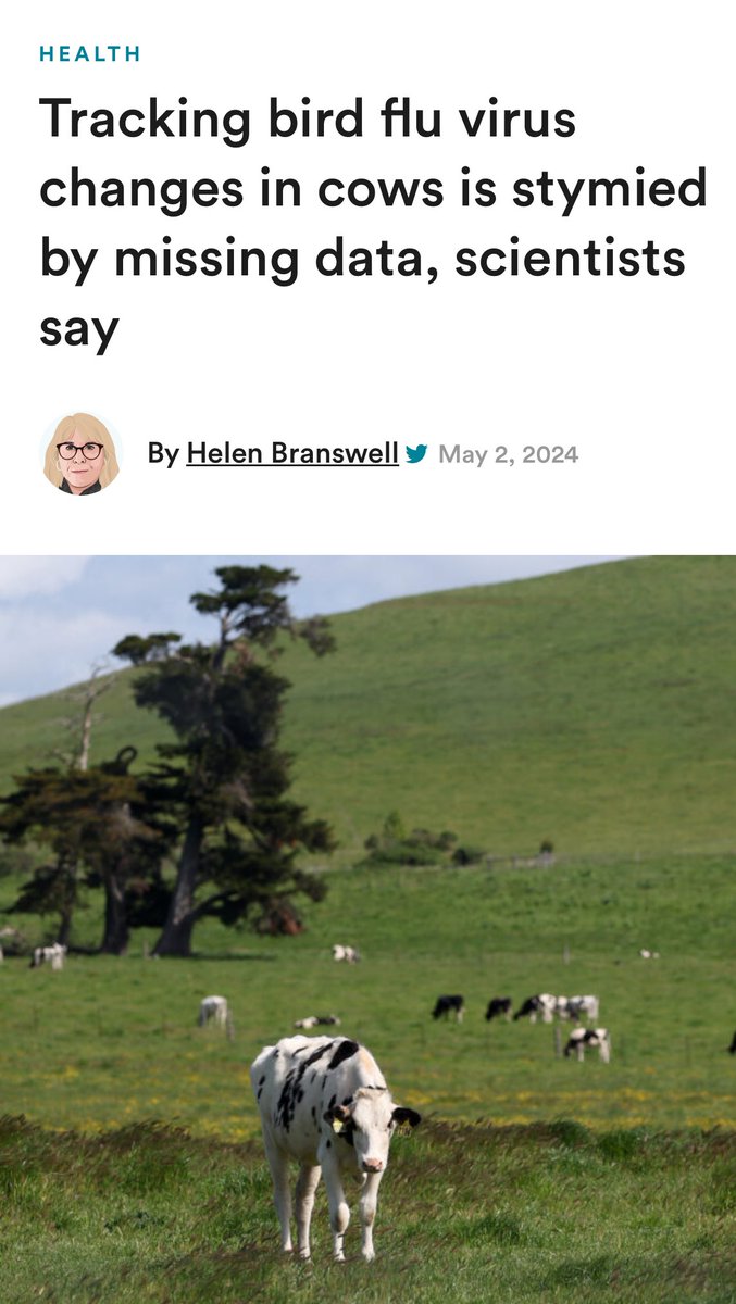 Incredibly frustrating that the @USDA again failed to include basic information about H5N1 genetic sequences from cows. All data had dates and locations scrubbed out—only saying “USA” & “2024”, which is useless for scientists to analyze for mutation rates. statnews.com/2024/05/02/bir…