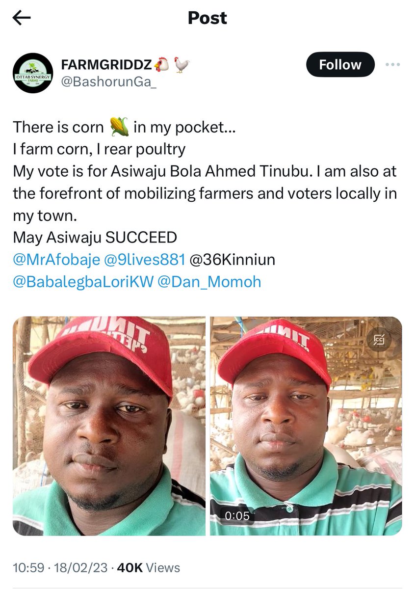 Another day, another Tinubu supporter crying but they are crying about Maize, azin Corn? @BashorunGa_ bring the corns in your pocket instead of Inshallahing upandan. Hunger is coming bawo 🤣🤣🤣🤣🤣