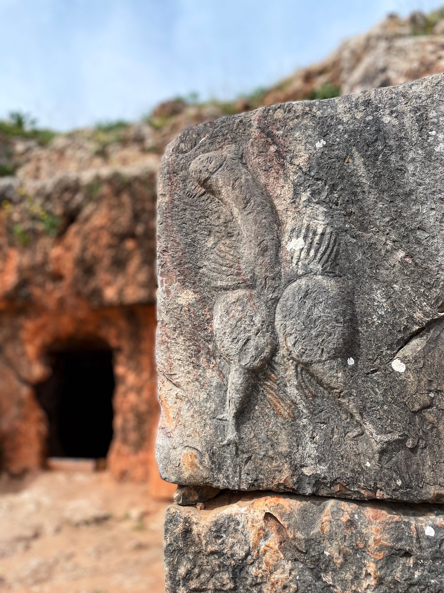 A wonderful winged phallus carved at the entrance to the Mithraeum in Tiddis, Algeria (Roman Castellum Tidditanorum) c.2nd century AD.