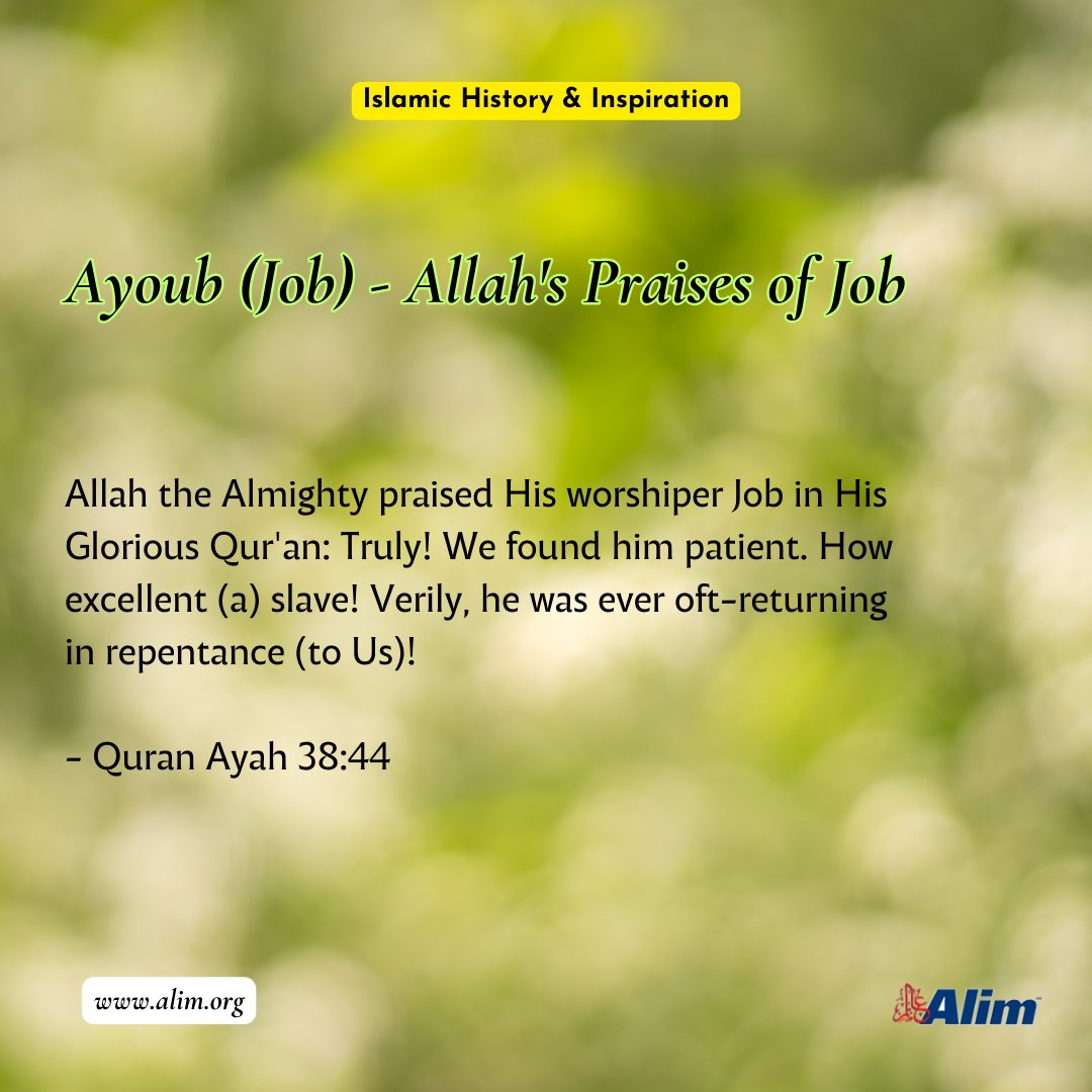 Ayoub (Job) - Allah's Praises of Job

alim.org/history/prophe…

#ProphetAyoub #QuranicWisdom #IslamicHistory #Inspiration #Faith #Patience #Repentance #ProphetStories #AlimFoundation #QuranQuotes #IslamicValues #ProphetJo