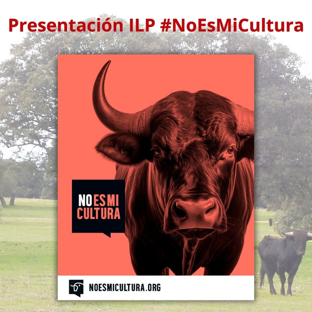 11 de mayo 11:00h. Charla Presentación Iniciativa Legislativa Popular #NoEsMiCultura organizada por el colectivo @NoEsMiCultura , y conducida por Ruth Manzanares Fernández y Marta Esteban Miñano.