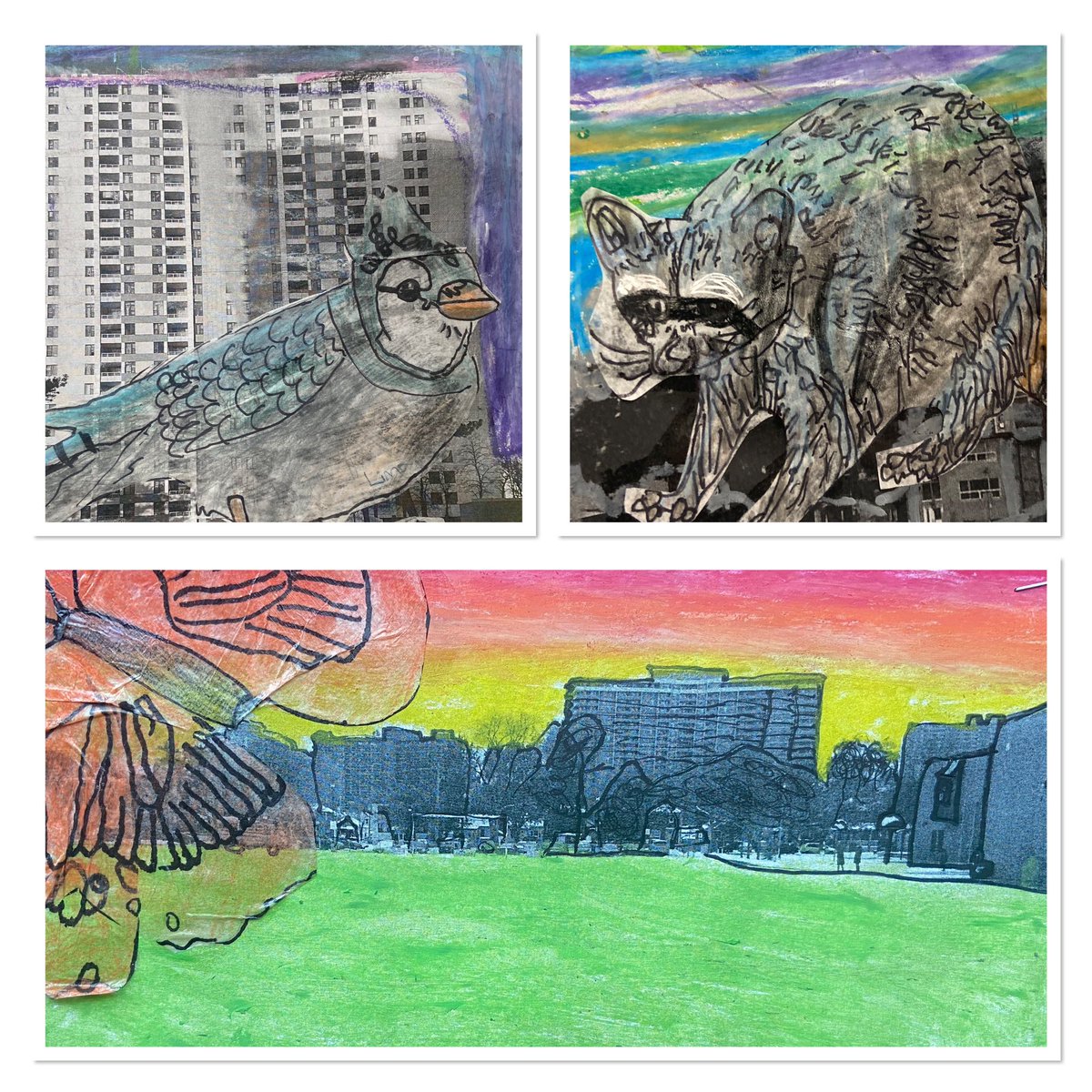 More grade 3 mixed media art exploring living things within our urban landscape.