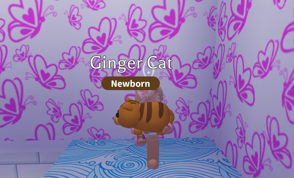 Giveaway!
*Prize - x1 Ginger Cat
~Rules~
~Follow me w/ notifications on
~Like and retweet
~Comment done! ^^

(Ends whenever I feel like it :) )
Check comments for extras.
#Adoptme #adoptmegiveaway #giveaway #roblox #robloxgiveaway