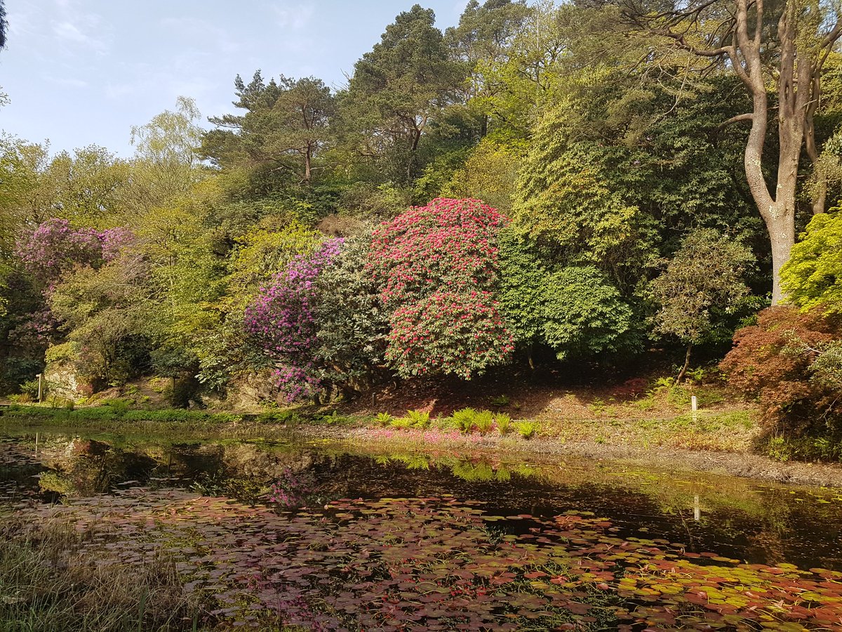 Spring is always the perfect time of year for exploring the woodland of @Portmeirion. Some gorgeous colours coming through.