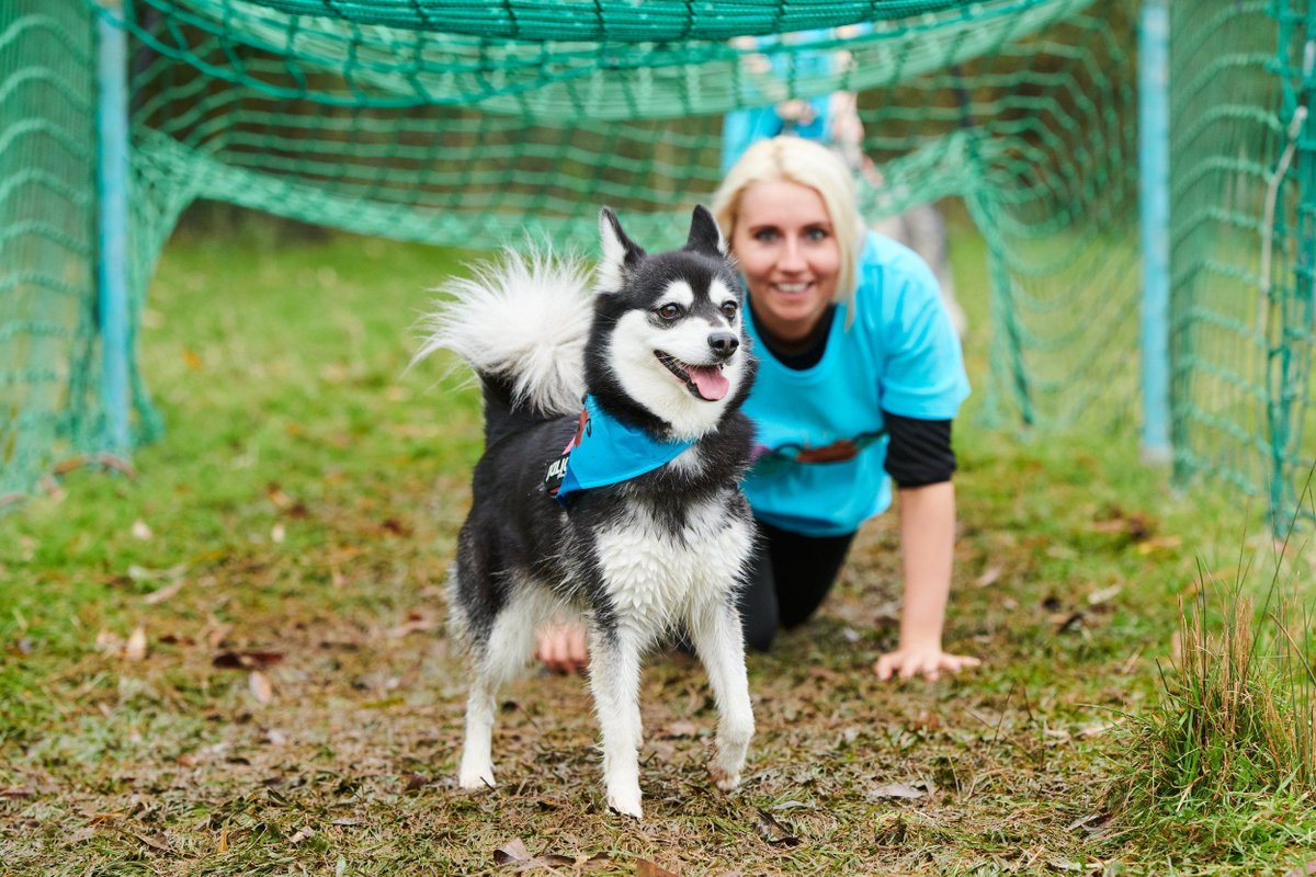 Muddy Dog is taking place this Saturday 04 May 10:00-14:00 & there will be a lot of dogs in the Park that day 🐶 This is a dog-friendly obstacle event where humans can run or walk with their dogs to raise much needed funds for @Battersea_ buff.ly/3y80MVf