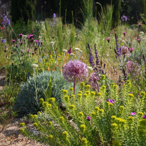 BALI_Landscape's tweet image. Tour the South's most iconic gardens!

Join us for an exclusive tour of Knepp Estate Walled Gardens. 

🗓️ 25 June 2024
🕐 12:30pm - 4:30pm
📍 Knepp Estate Walled Garden, RH13 8LJ

📸 Image credit: Karen Finley 

Book here: vist.ly/34wmr

 #RegionalEvent #MemberEvent