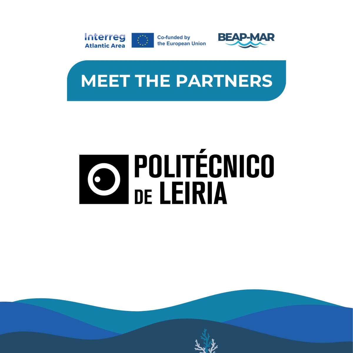 Meet the Partners | @ESTM_IPL 🇵🇹 Introducing our 5th partner organisation on the BEAP-MAR team! Politécnico de Leiria a higher education institution which offers Undergraduate and Master's degrees courses in various fields. More info: ipleiria.pt/en/