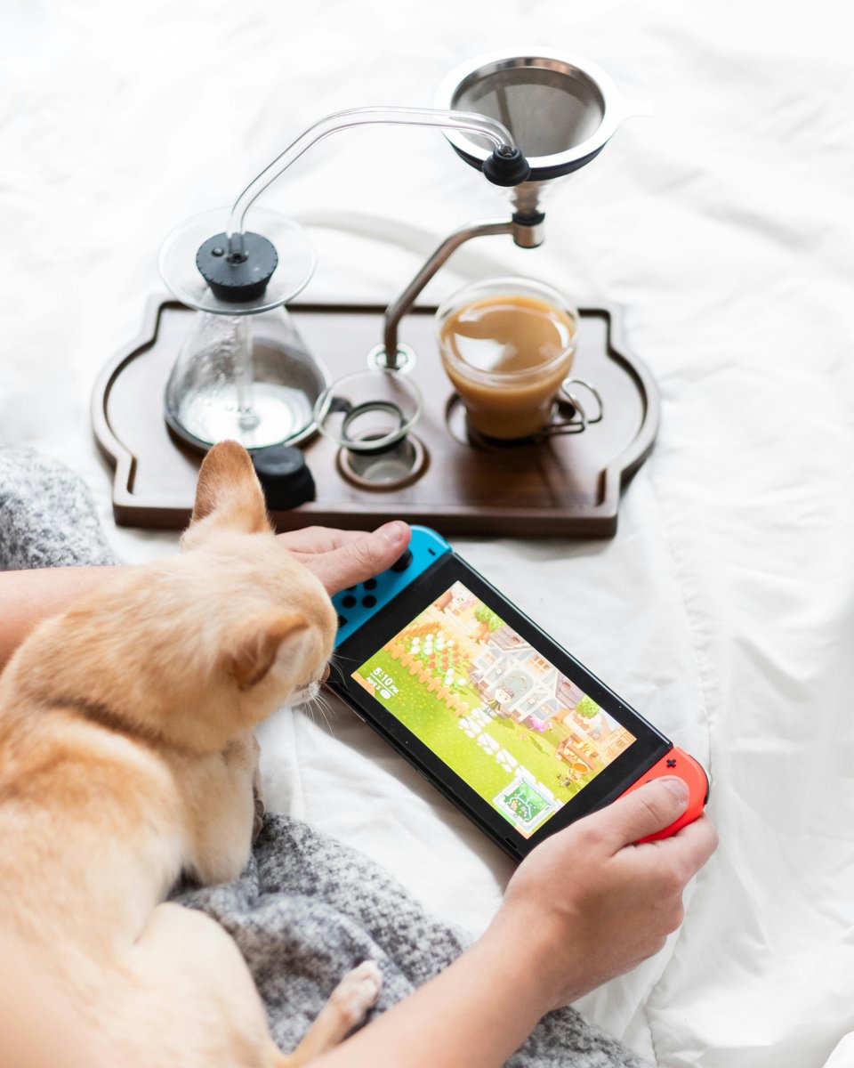 Start your morning off right with your favorite furry companion, a cup of coffee, and a little bit of gaming.

www. Anytimewags.com

#dogproducts #dogsofinstagram #dogs #dog #doglovers #dogaccessories #petproducts #doglover #dogstagram #doglife #dogmom #dogoftheday