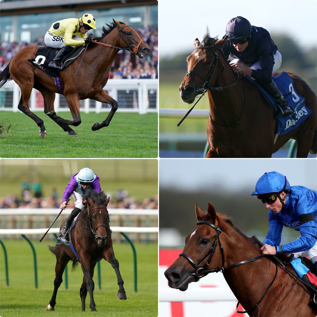 🏆 2000 Guineas Runners and Riders 🏆 Alyanaabi - @JimCrowley1978 City Of Troy - Ryan Moore Ghostwriter - @RKingscote Haatem -  @the_doyler Iberian - @TomMarquand Inisherin - @tomeaveswigan Night Raider - Danny Tudhope Notable Speech - William Buick Rosallion - @LeveySean…