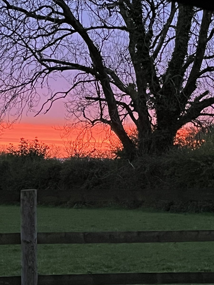 Glorious #Pembrokeshire sunset last night from an off market smallholding I was viewing for clients
