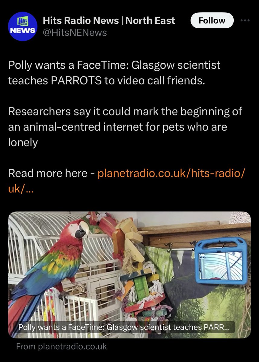 Where did it all go wrong? Housing crisis, cost of living crisis, news that children will go hungry this summer yet……let’s fund research into parrots using FaceTime.