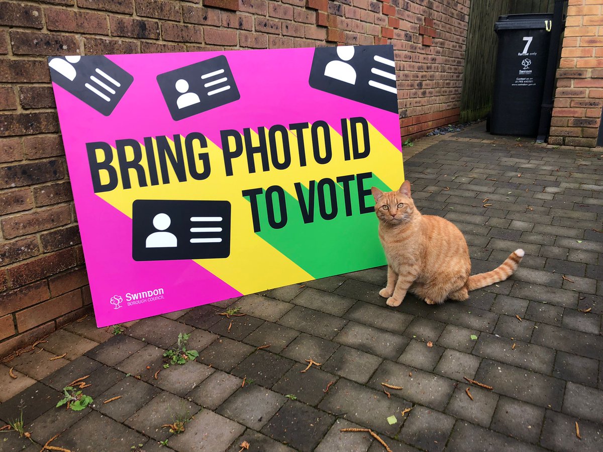 Before you leave the house to head to the polling station, just paws to check you have your photo ID! 🗳️

#LocalElections #SwindonVotes