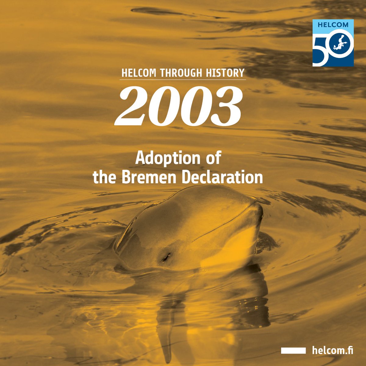 🕰️ It’s HELCOM Through History time! 🕰️ 

The HELCOM Ministerial Meeting & Joint Ministerial Meeting of Helsinki & OSPAR Commissions adopted Bremen Declaration, focusing on ecosystem management, EU's Marine Strategy, species protection & shipping impact 🌊

#HELCOMThroughHistory