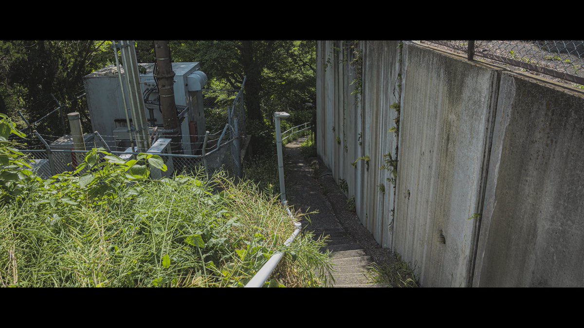 子ども時代の夏を思い出した坂道。