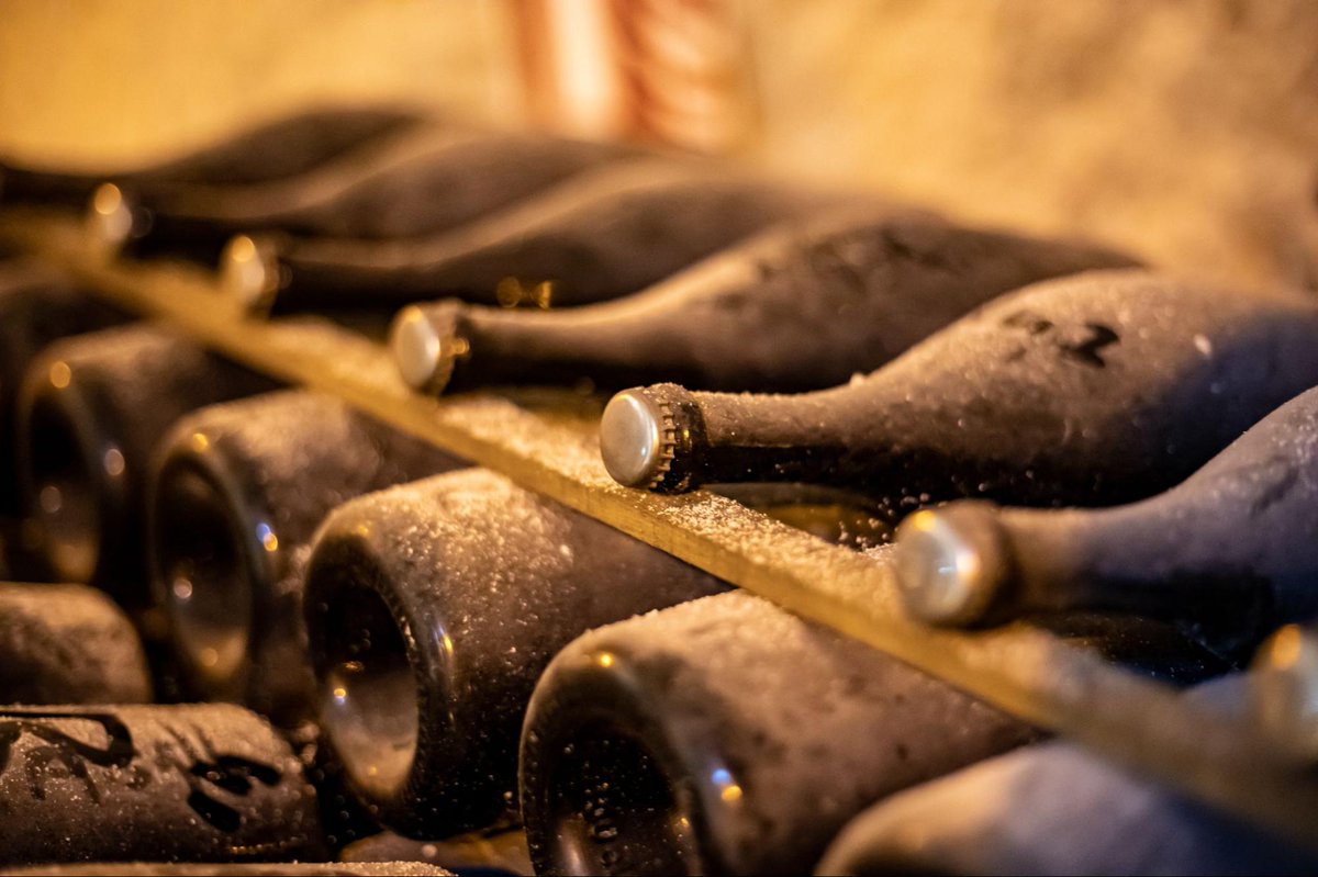 Discover the intricate process of sparkling wine production, from lees ageing to the final dosage. Cheers to knowledge! #WineLovers
vinovoss.com/news-and-artic…
#WineMaking #SparklingWine #WineProduction #WineKnowledge #WineEducation