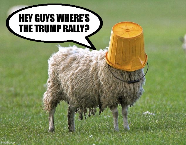 #MAGA are not just sheep! They are the stupidest sheep in the flock!

#MAGAMorons #MAGAts #MAGAareAgreesivelyStupid