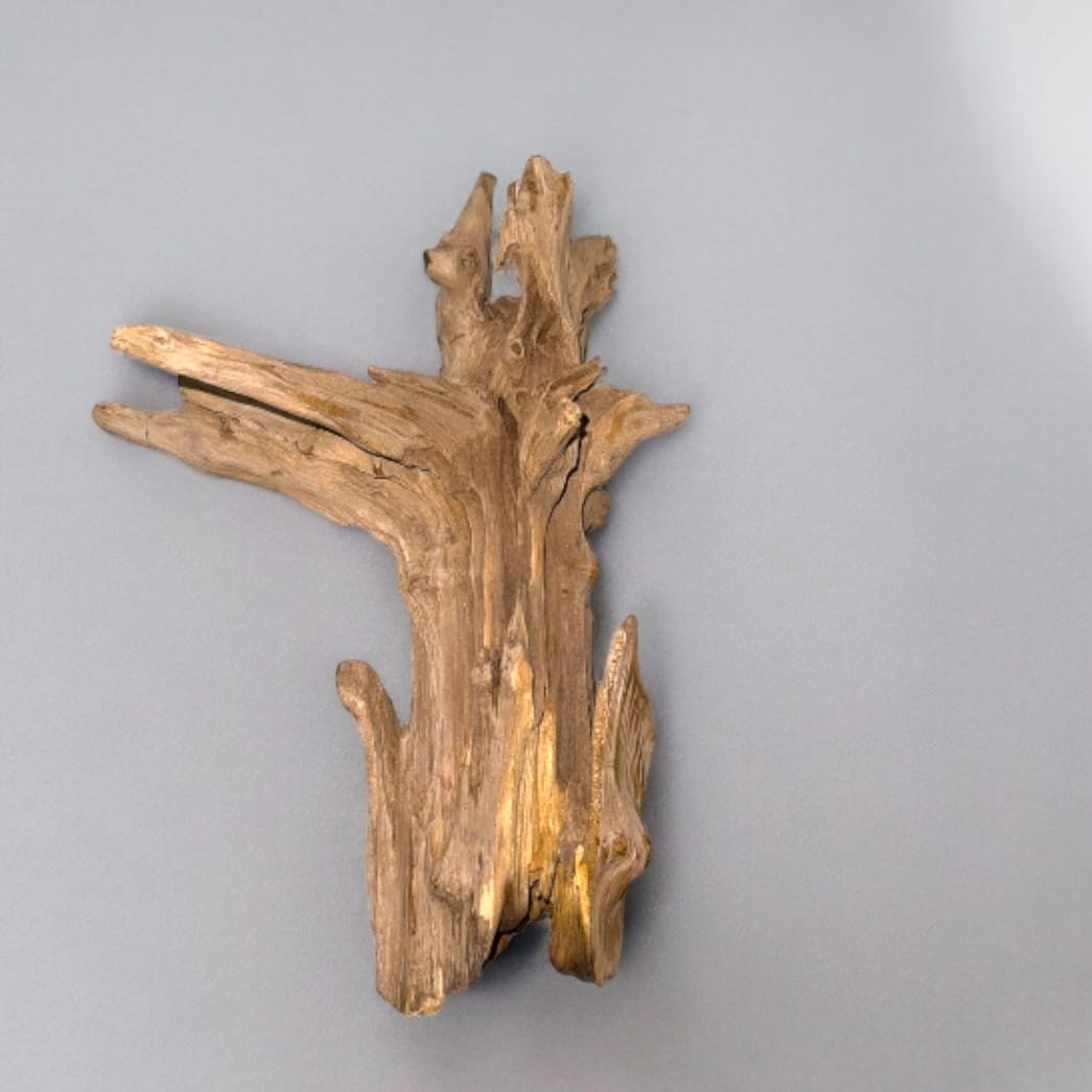 بنظرة خاطفة ستتمكن من إيجاد قطع الديكور المناسبة لمنزلك

يمكنك تصفح المجموعة كاملة على المتجر الإلكتروني الخاص بنا

n-wgs.com

#giftideas #wooden #naturalwood #decoreideas #fishtanks #organicproducts