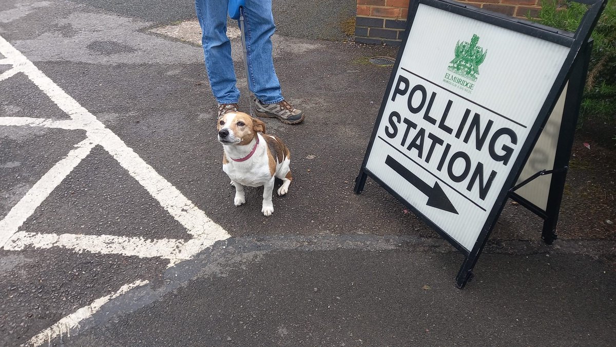 Cutie Maisie appears to be happy to accompany her owner to the polls today. Don’t forget, polling stations are open until 10pm, and you will need valid photo ID to vote in person #DogsAtPollingStations