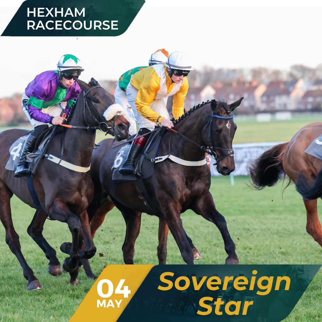 Sovereign Star has been declared to run in the 18:45 Bobby Roberts Memorial Novices' Hurdle over 2m 48y at @HexhamRaces on Saturday 4th May ⭐ Brian Hughes will take the ride! 💪