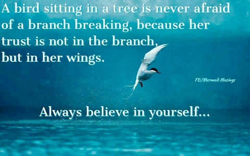 A bird sitting in a tree is never afraid of a branch breaking, because her trust is not in the branch, but in her wings. Always believe in yourself. #yougotthisdiann diannshaddox.com