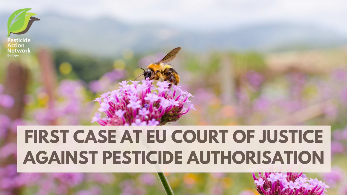 Historical: We just filed the very 1st appeal case ever on authorisation of a #pesticide in the EU Court of Justice. We challenge #beekiller cypermethrin. Until recently civil society had no access to justice on pesticide approvals. #EDCs #pesticides #bees
pan-europe.info/press-releases…
