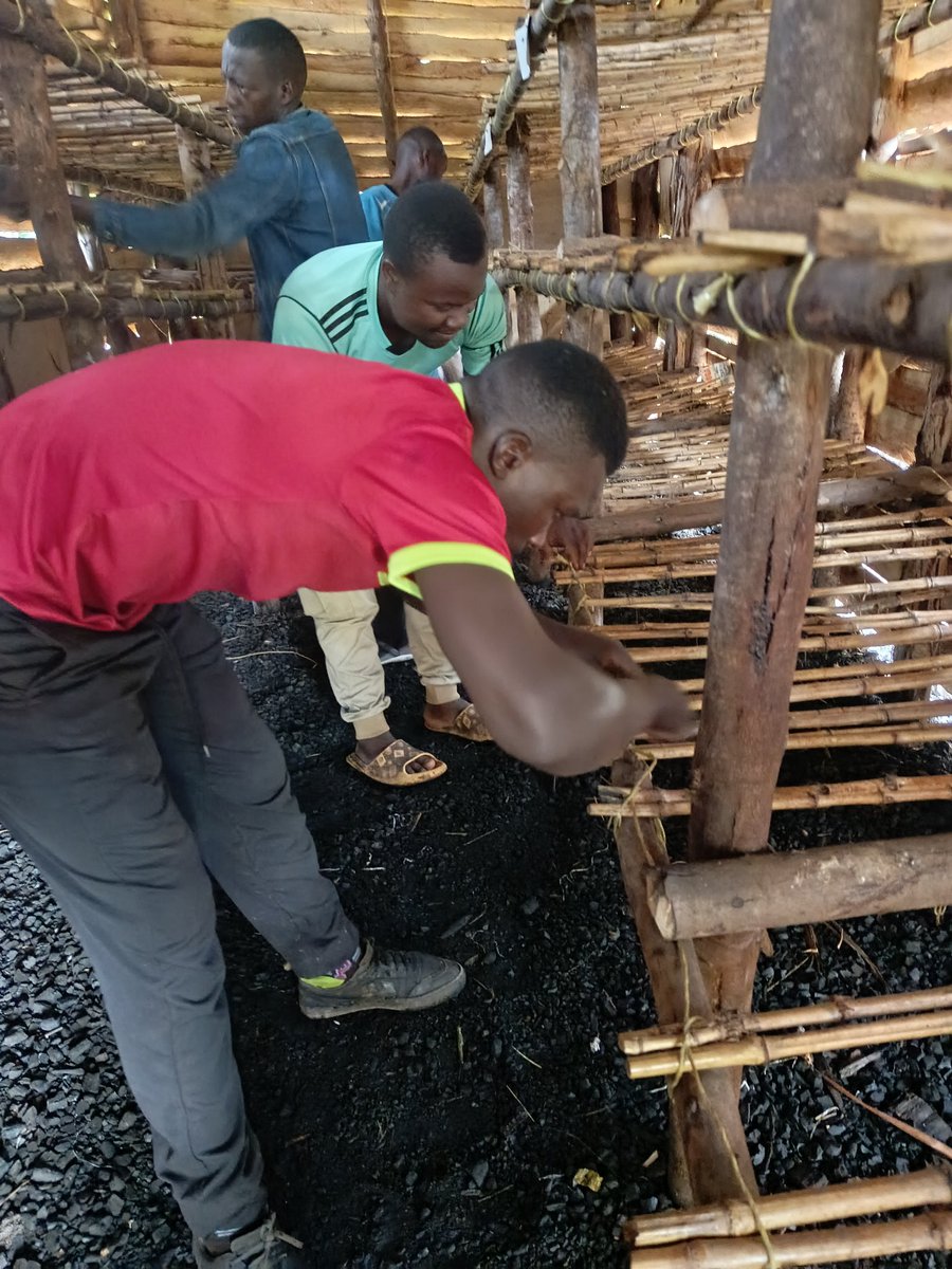 MyresWN's tweet photo. I am conducting a three months practical based program in mushroom farming business where 15 young people (18-35 yrs) supported by @urdt_programme are being skilled in establishing mushroom farms, general mushroom growing practices, post harvest handling and marketing. https://t.co/Jahwyneb3R