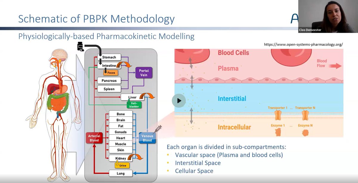Missed our last webinar? On April 16th, Cleo Demeester  and Donnia Robins  shared valuable insights into mechanistic modelling of oral absorption in people of advanced age. Access the recording and read more about this event here: lnkd.in/demX_mGv