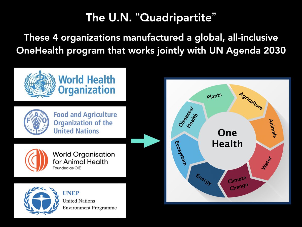 OneHealth is one more tool to establish global tyranny and one-world governance - using “health of the planet, people and all life” as its false justification.

This is similar to UN Agenda 2030. In fact, OneHealth appears to duplicate most of the fraudulent Agenda 2030 goals and…