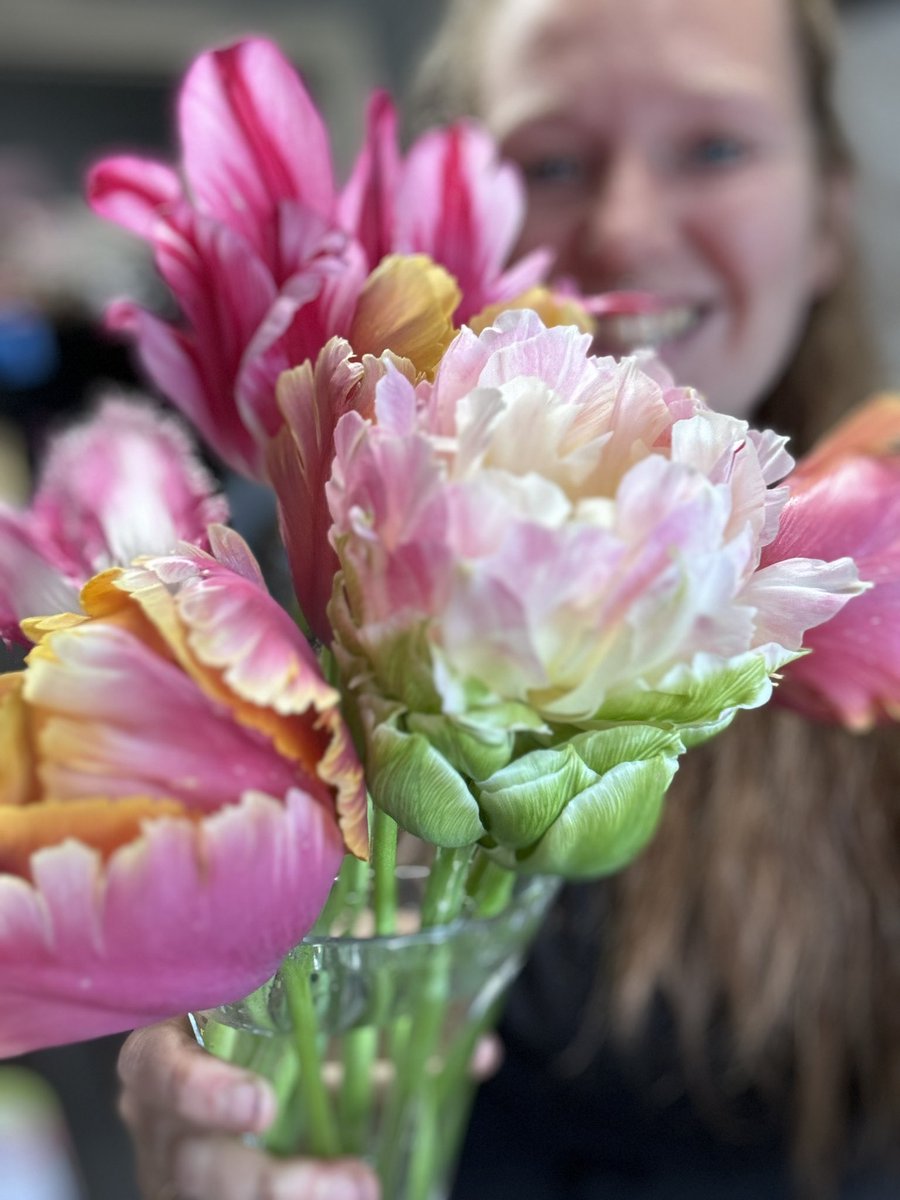 Beautiful Tulips brought home from work after a photoshoot 🩷 🌷 

(The Tulips… not me 😂)

#GardeningTwitter #GardeningX