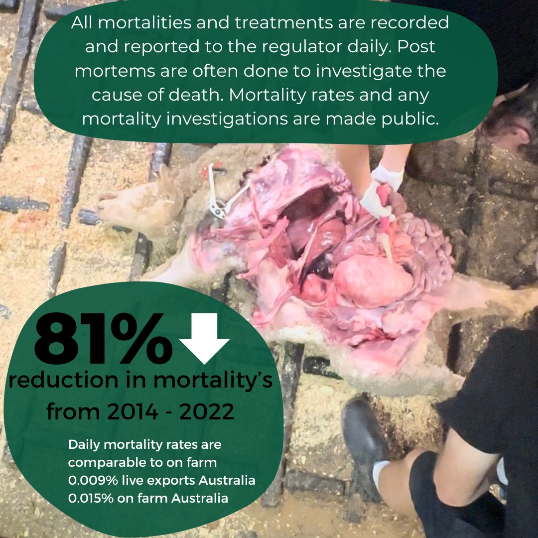 Mandy Matthews tweet media