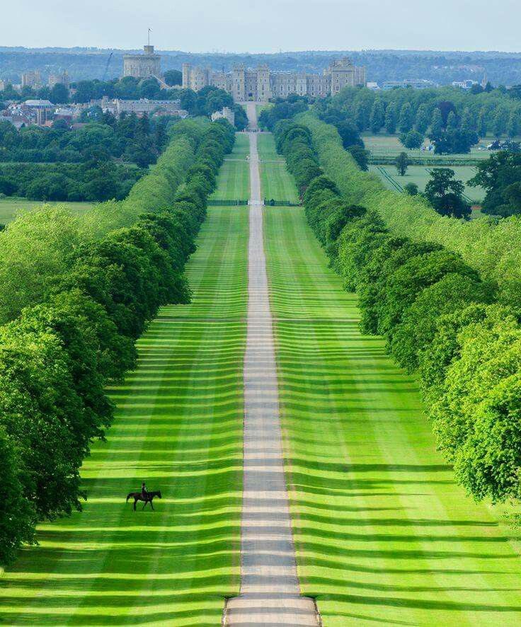 I just adore this photo of the long walk at Windsor Castle 🏰 it’s magnificent have you ever walked down it? #WindsorCastle