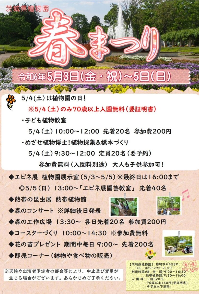明日５月３日(金)から５月５日(日)の３日間、 那珂市の茨城県植物園「春まつり」に出店♪ 期間中毎日先着200名様に花の苗のプレゼントなどもあります！ メニューは ・オムライス風ドリア ・フレンチトースト ・バターモチ ・イチゴのドリンク ※ドリアは各日変わる予定です。