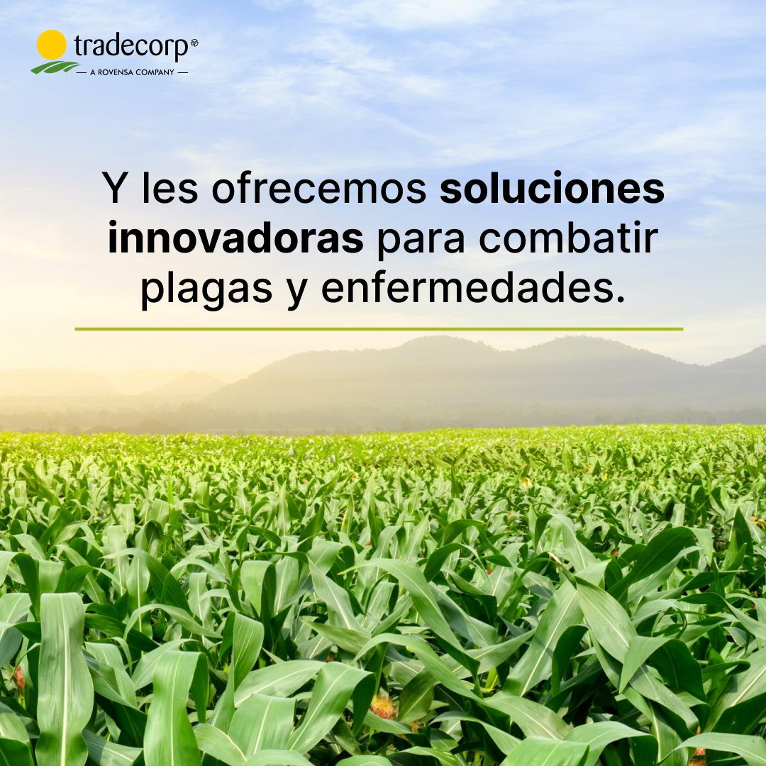 Tradecorp España tweet media