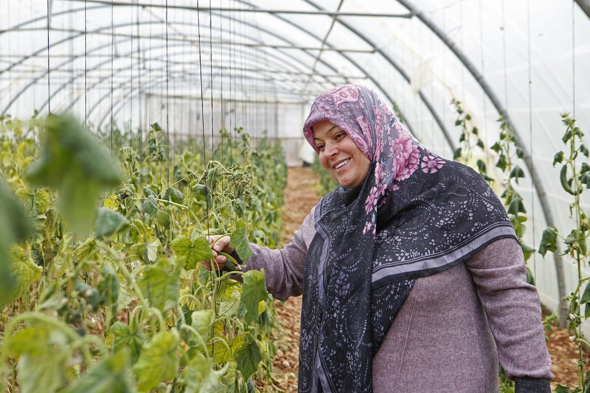 🌱Empowering women for a brighter future. 🌳 @WFP is tailoring policies and approaches to help women across the region to thrive. Through training sessions, women like Hayat in #Lebanon are gaining vital skills to help them set up small businesses in their communities.