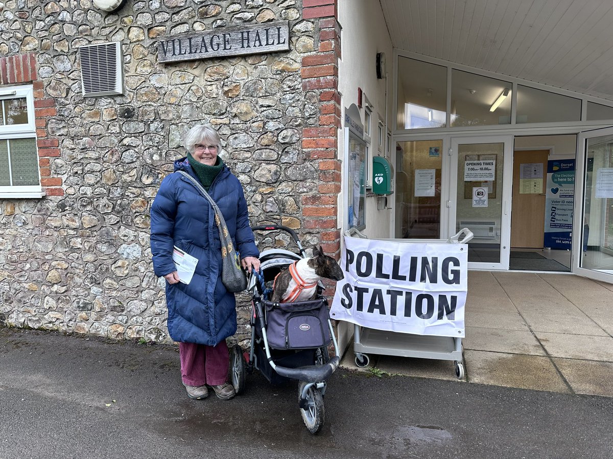 #DogsAtPollingStations also mumsatpollingstations English Bull Terriers voting for a greener future.