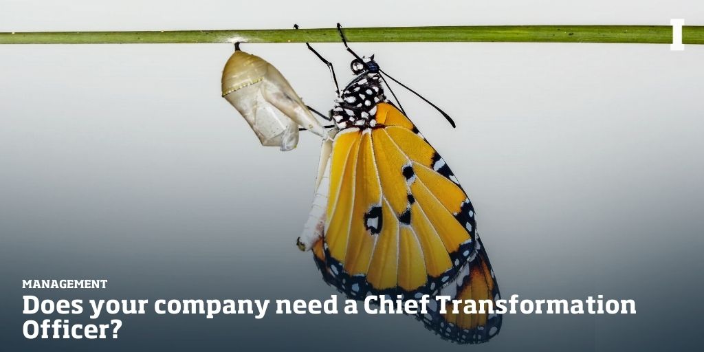 In a landscape of disruption, a Chief Transformation Officer (CTO) can drive change, but is it necessary for every company, or should driving performance be a core competency of every manager? @McKinsey's Sarena Lin explores this on #IbyIMD: bit.ly/3UreE4I #IMDImpact