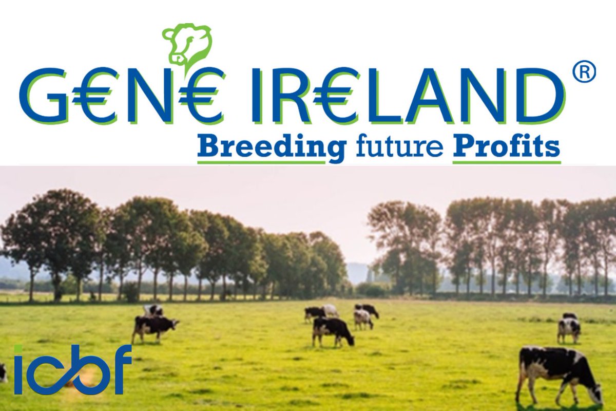 A new feature on Sire Advice shows allocated G€N€ IR€LAND bulls on the manually enter bulls screen. To increase EBI and reduce variation between milk and fertility, a cow with a low milk sub-index will be matched to a Gene Ireland Bull with a high milk sub-index.