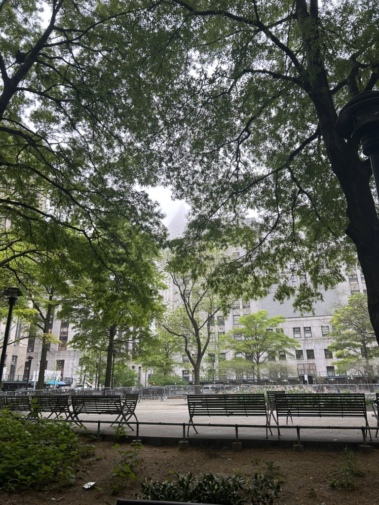 Its a quiet morning thus far, with nary a protester in sight. Collect Pond Park, just opposite the courthouse, is totally empty.