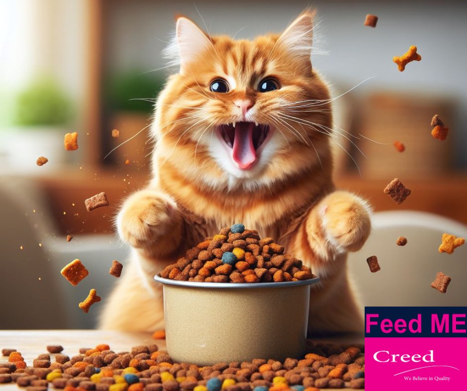 🍲 Indulge in a culinary delight with 'Feed Me by Creed'! Our Feline Health Nutrition Range offers a gourmet experience that satisfies your cat's cravings for both taste and nutrition. Let them feast on the flavors of well-being. #FeedMeByCreed #CulinaryDelight #GourmetExperience