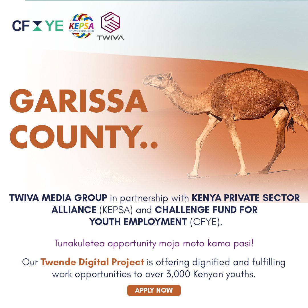 Twiva's #EarnWithTwiva program is providing influencers in Kenya with the opportunity to earn passive income by promoting SME products. With each sale, they're not only supporting local businesses but also securing their financial future.