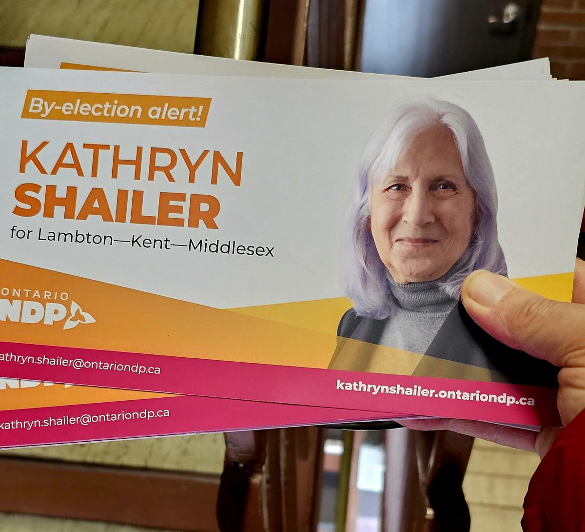 Two By-Elections today - in #Milton you can elect a champion of worker & human rights @ediestrachan and in #LamptonKentMiddlesex a community & environmental champion @Kathrynshailer_ - @CUPEOntario sending best to both these increadible women!