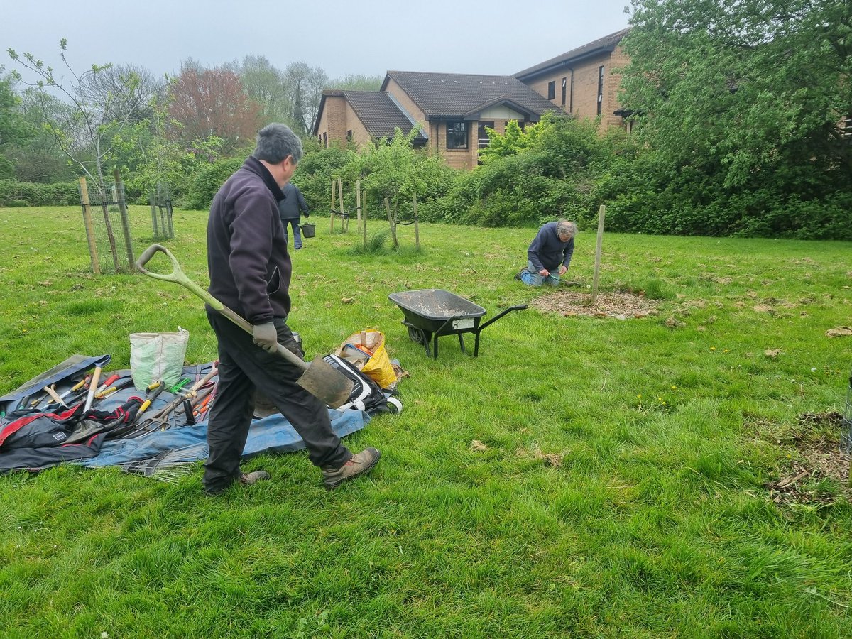 We've been shifting woodchip to #mulch our fruit trees with at #BroadMeadowOrchard this morning. There was plenty of weeding to do and a few pruning jobs. The orchard needs a regular bit of attention... #CommunityOrchard #Stirchley #STCommunityFund
