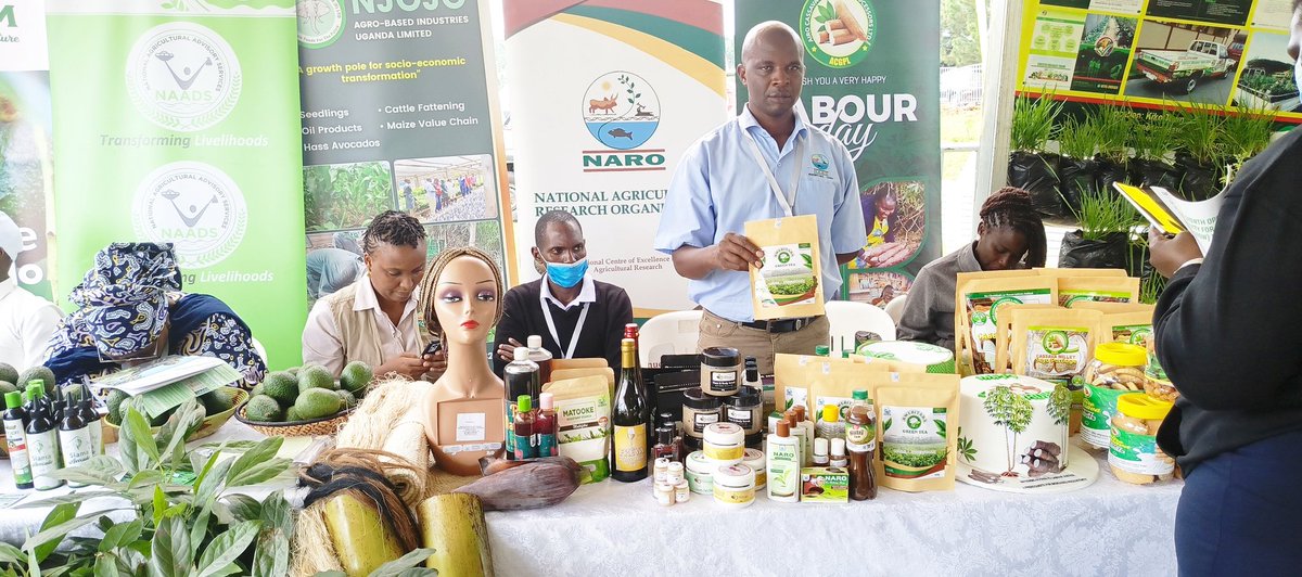 RWEBITABA ZARDI tweet media