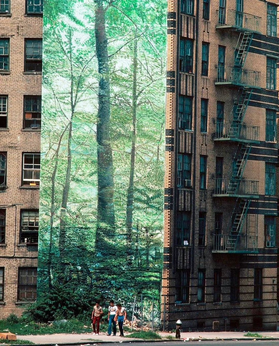 'A mural of a forest in The South Bronx' by artist Alan Sonfist, 1978. 25 W Tremont Ave, The Bronx, USA. PHOTO: Thomas Hoepker, 1983
.
.
.
#tbt #regram #thebronx #bronx #fromthebronx #fromthebronxtotheworld #thebronxdoesitbetter #nyctourism #whatsgoodnyc #alansonfist