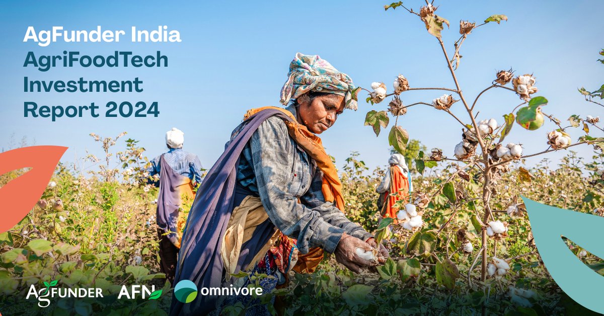 The India AgriFoodTech Investment Report shows AgriFoodTech funding dipping to pre-pandemic levels. While cautious investors prioritize smaller bets, innovation continues. 

Read here:
agfunder.com/research/india…

#AGFUNDERINDIA24 #AgriFoodTech #agtech #investment #innovation
