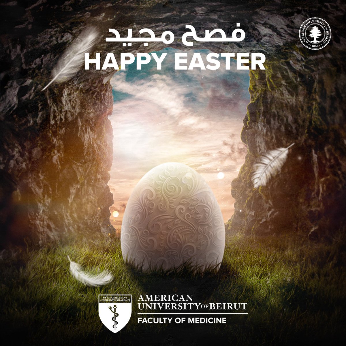 Wishing you a happy Easter filled with joy, hope, and the blessings of the season.🕊️💖 #AUBFM #AUBMedicine #AUB