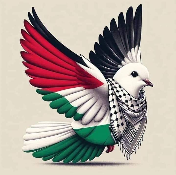 Filistin, her mü’min kulun önünde bir sınav kağıdıdır. Cahit zarifoğlu 🇵🇸 🇹🇷 #FreePalestine #Kassamtugayları Boykota Devam Türkiyem ➡️➡️➡️➡️➡️⭐️➡️➡️➡️➡️ Starbucks Türkiye' #altın İçmeyin #sasa Dolar Ece Üner Yahudi