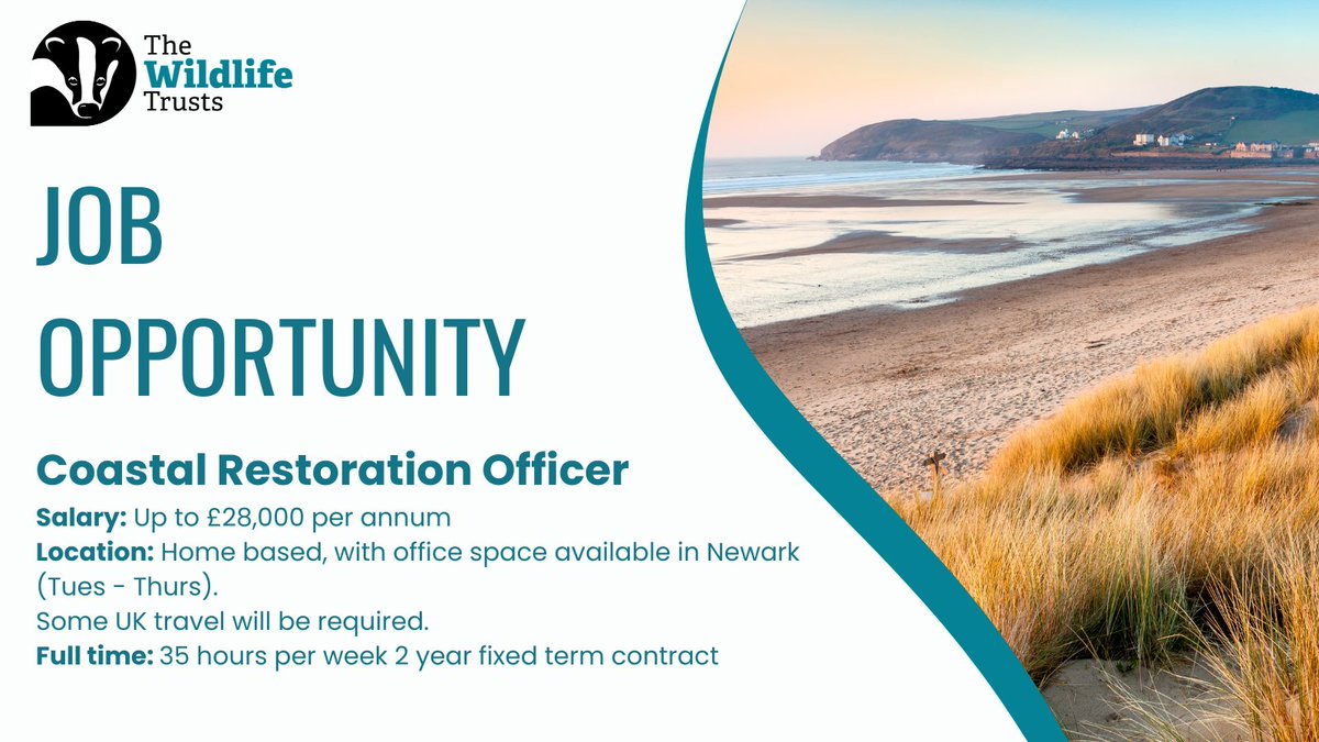✨ Job Opportunity✨ Are you a passionate marine/coastal conservationist, looking to work for one of the UK’s best-loved nature charities? The @WildlifeTrusts are looking to hire a Coastal Restoration Officer! 🌊 ➡️ wildlifetrusts.org/jobs/coastal-r…
