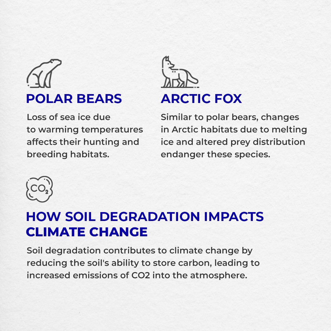Soil degradation is linked to the loss of ice in arctic environments. As soil depletes and loses the ability to store carbon, carbon emissions increase. This warms the atmosphere, altering arctic habitats as temperatures increase and ice melts. 

Healthy soil acts as a carbon…