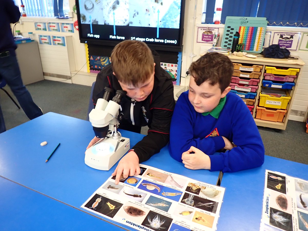 A great morning with year 5&6 at @ysgolbrynconin! Following their beach clean at Amroth last week the class have learnt more about impacts of plastic pollution and examined locally caught plankton samples! #STEMeducation #oceanplastics #plankton #foodchains #scienceandtechnology